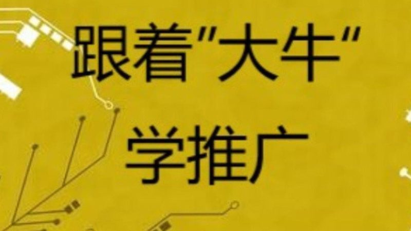 网站推广服务，性价比高的关键要素揭秘